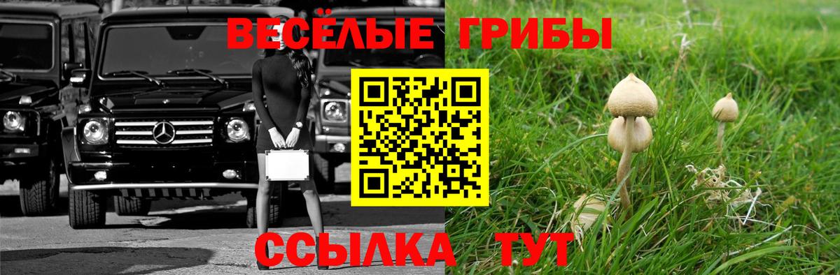 Псилоцибиновые грибы мухоморы Ухта